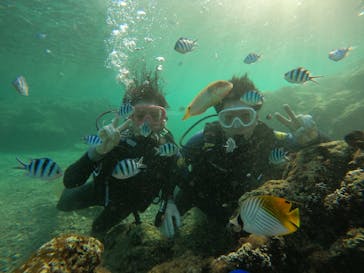 武藤潜水に投稿された画像（2024/11/23）