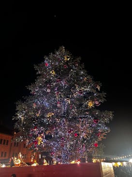 Christmas Market in 横浜赤レンガ倉庫 2025に投稿された画像（2024/11/23）