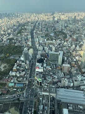 ハルカス300(展望台)に投稿された画像（2024/11/23）