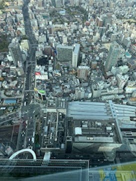 ハルカス300(展望台)に投稿された画像（2024/11/23）