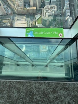 ハルカス300(展望台)に投稿された画像（2024/11/23）