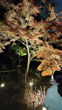 名古屋市東山動植物園に投稿された画像（2024/11/23）