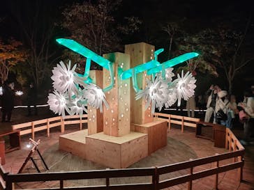 名古屋市東山動植物園に投稿された画像（2024/11/23）