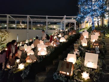 名古屋市東山動植物園に投稿された画像（2024/11/23）