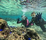 沖縄マリンサービス碧に投稿された画像（2024/11/23）