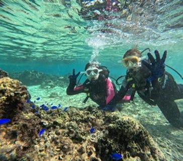 沖縄マリンサービス碧に投稿された画像（2024/11/23）