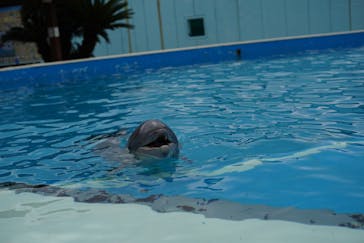 南知多ビーチランド＆南知多おもちゃ王国に投稿された画像（2024/11/23）