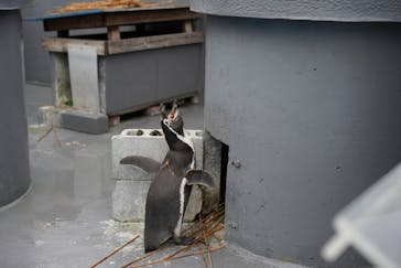 南知多ビーチランド＆南知多おもちゃ王国に投稿された画像（2024/11/23）