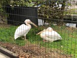 名古屋市東山動植物園に投稿された画像（2024/11/23）