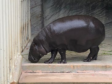 名古屋市東山動植物園に投稿された画像（2024/11/23）