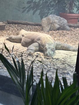 名古屋市東山動植物園に投稿された画像（2024/11/23）