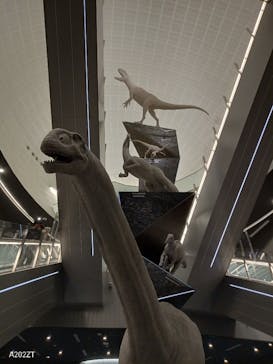 福井県立恐竜博物館に投稿された画像（2024/11/23）