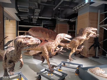 福井県立恐竜博物館に投稿された画像（2024/11/23）