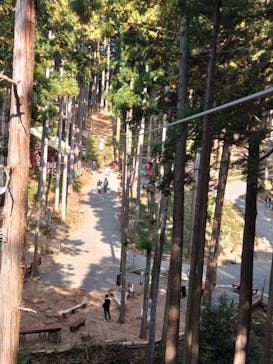 アドベンチャーパーク　オドルの森に投稿された画像（2024/11/23）