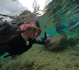 武藤潜水に投稿された画像（2024/11/23）