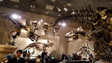 国立科学博物館に投稿された画像（2024/11/23）