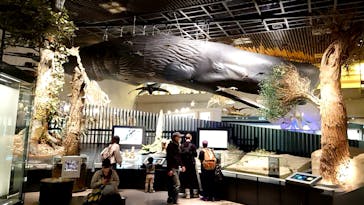 国立科学博物館に投稿された画像（2024/11/23）