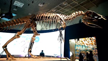 国立科学博物館に投稿された画像（2024/11/23）