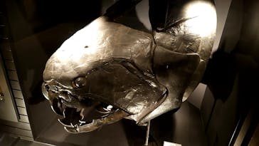 国立科学博物館に投稿された画像（2024/11/23）