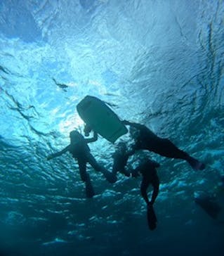 青の洞窟専門店　沖縄ダイビングショップ和に投稿された画像（2024/11/23）