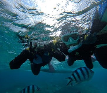 青の洞窟専門店　沖縄ダイビングショップ和に投稿された画像（2024/11/23）