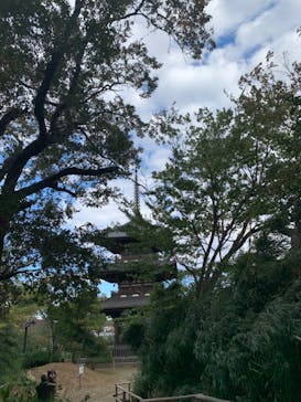 三溪園に投稿された画像（2024/11/23）