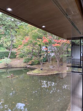 三溪園に投稿された画像（2024/11/23）