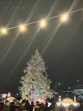 Christmas Market in 横浜赤レンガ倉庫 2025に投稿された画像（2024/11/23）