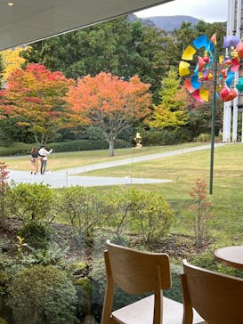 彫刻の森美術館に投稿された画像（2024/11/23）