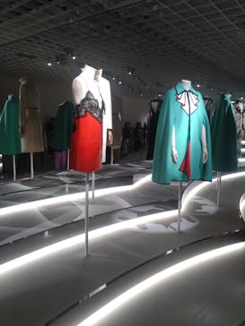 GUCCI COSMOSに投稿された画像（2024/11/23）