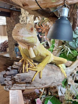 NARA IKIMONO MUSEUMに投稿された画像（2024/11/23）