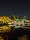 国営昭和記念公園 秋の夜散歩に投稿された画像（2024/11/23）