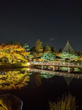国営昭和記念公園 秋の夜散歩に投稿された画像（2024/11/23）