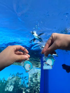 サンシャイン水族館に投稿された画像（2024/11/23）