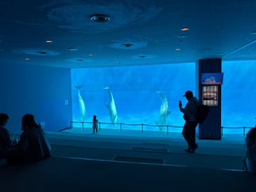 名古屋港水族館に投稿された画像（2024/11/23）