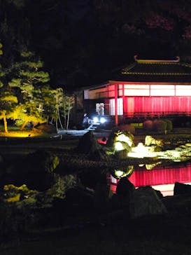 NAKED meets 二条城 2025 観月に投稿された画像（2024/11/23）