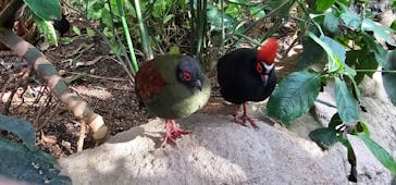 神戸どうぶつ王国に投稿された画像（2024/11/23）