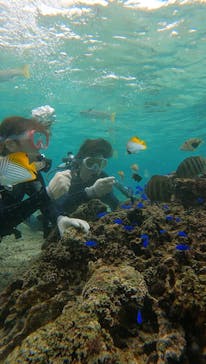 武藤潜水に投稿された画像（2024/11/23）