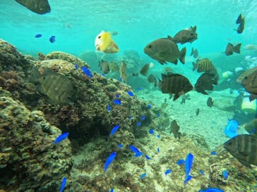 武藤潜水に投稿された画像（2024/11/23）