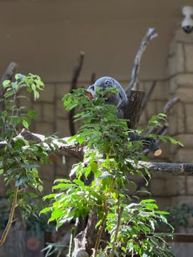 名古屋市東山動植物園に投稿された画像（2024/11/23）
