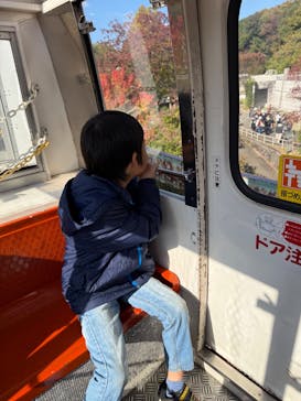 名古屋市東山動植物園に投稿された画像（2024/11/23）