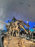 福井県立恐竜博物館に投稿された画像（2024/11/23）