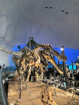 福井県立恐竜博物館に投稿された画像（2024/11/23）