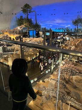 福井県立恐竜博物館に投稿された画像（2024/11/23）