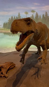 福井県立恐竜博物館に投稿された画像（2024/11/23）