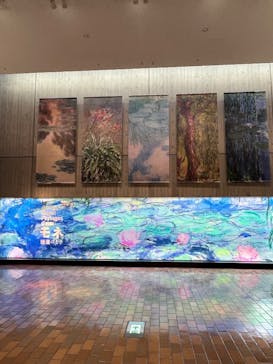 モネ 睡蓮のとき（国立西洋美術館）に投稿された画像（2024/11/23）