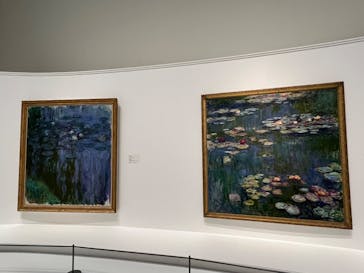 モネ 睡蓮のとき（国立西洋美術館）に投稿された画像（2024/11/23）