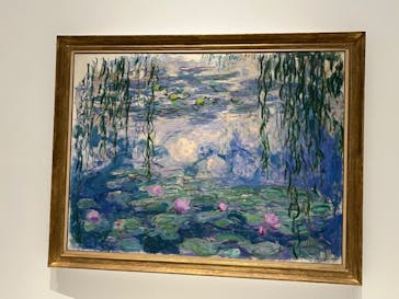 モネ 睡蓮のとき（国立西洋美術館）に投稿された画像（2024/11/23）