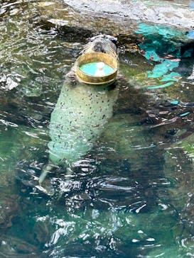 箱根園水族館に投稿された画像（2024/11/23）