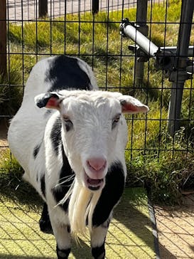 天王寺動物園に投稿された画像（2024/11/23）